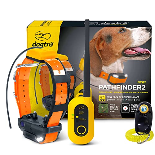 GPS Dog Training Collar with Remote, 9 Mile Range, Tracking D6931