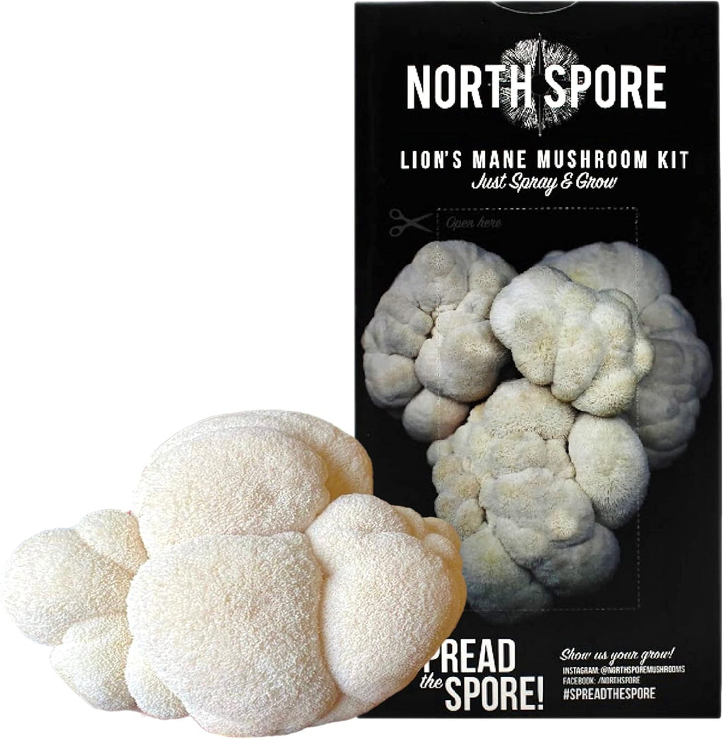 Organic Lion's Mane Mushroom Spray & Grow Kit (4 lbs) A340868