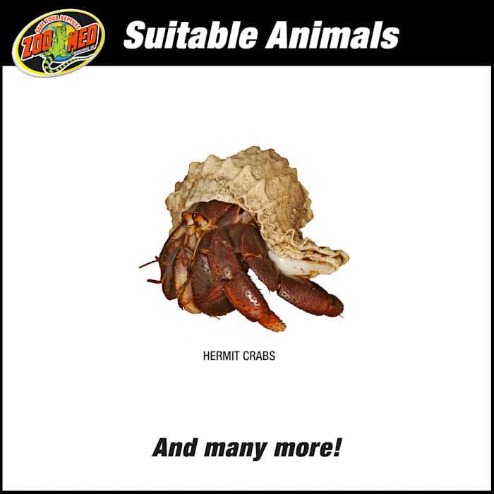 Hermit Crab Kit C3818