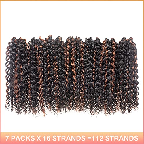 Passion Twist Hair F111