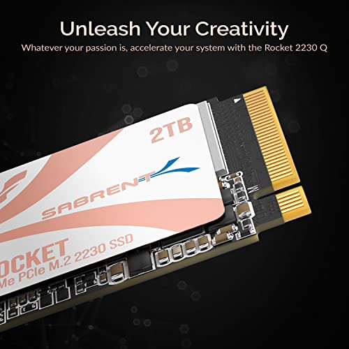 1TB NVMe PCIe Gen4 M.2 2230 Internal SSD E842