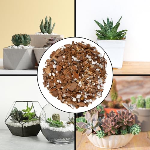 8 Quarts Cactus and Succulent Potting Mix J663883