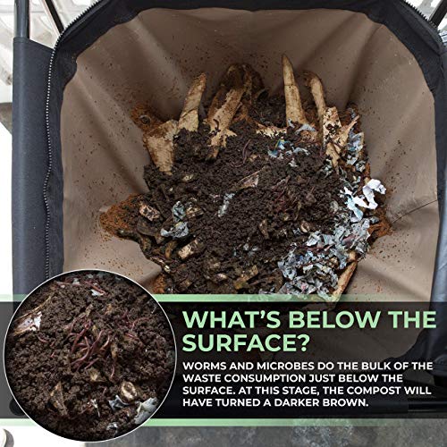 Worm Composting Bin P843