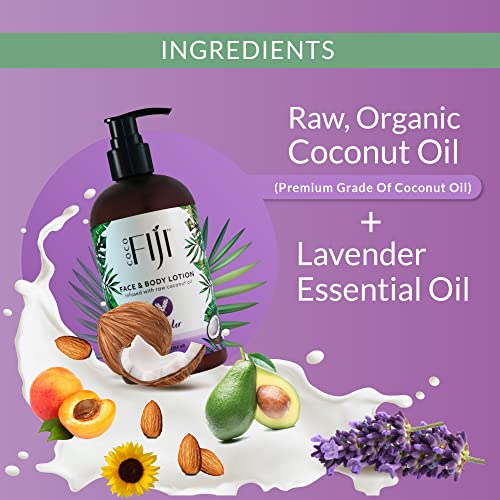 12 oz Fragrance Free Face & Body Lotion S279481