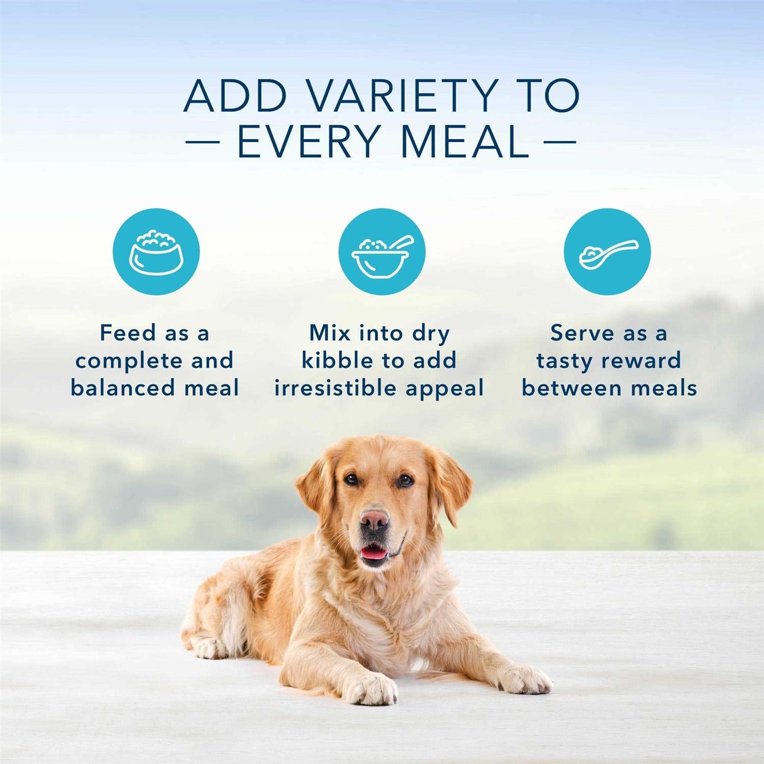 Blue Buffalo Homestyle Recipe Variety Pack Wet Dog Food T5163