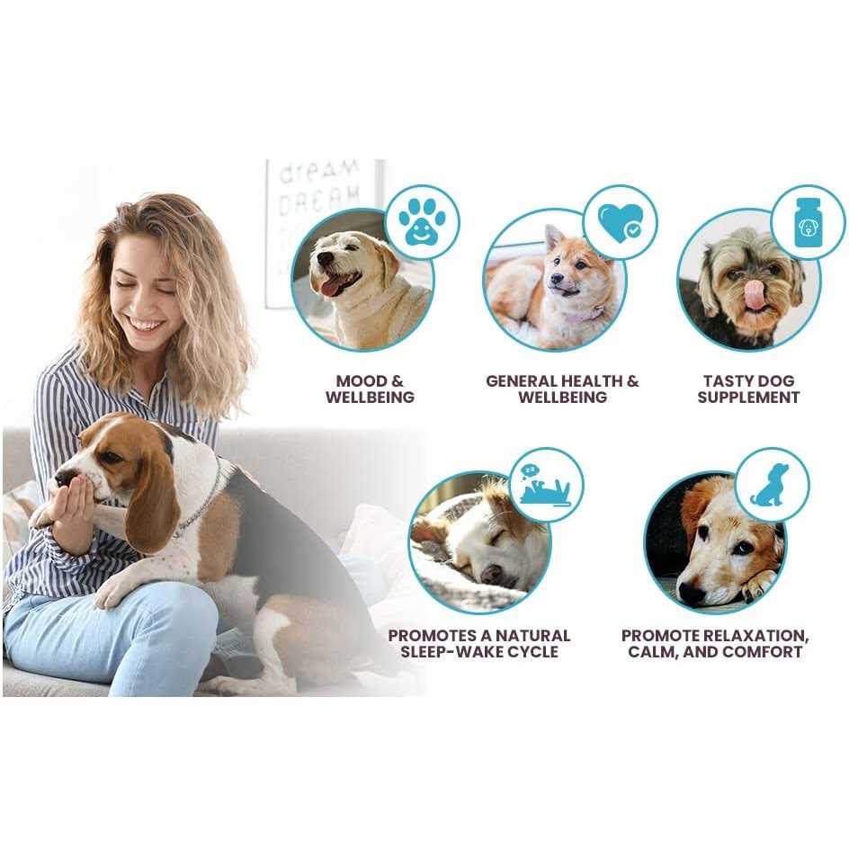 1mg Melatonin for Small Dogs Y77057