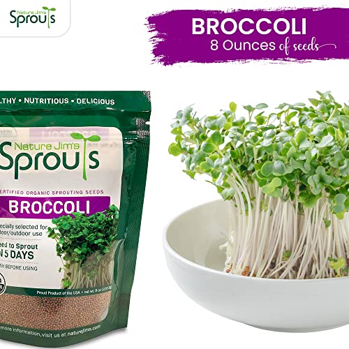 Certified Organic Broccoli Sprouting Seeds - 8oz N4969