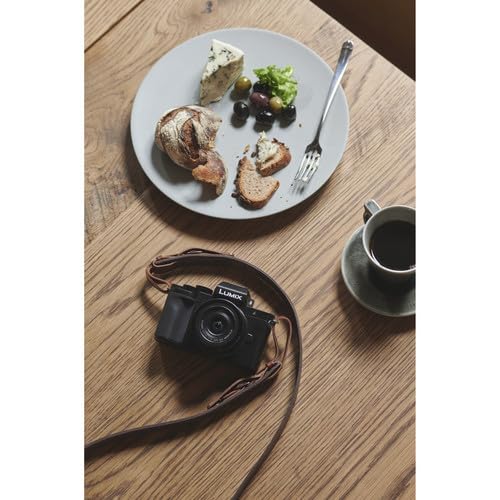 Panasonic Lumix G100 4K Mirrorless Camera with 12-32mm Lens I816