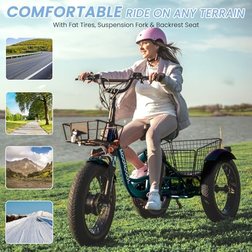 Electric Tricycle, 20" x 4" Fat Tire, 48V 500W, 7 Speed, Aluminum Frame W16241