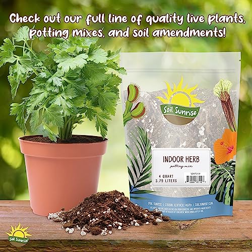 8 Quarts Cactus and Succulent Potting Mix J663883