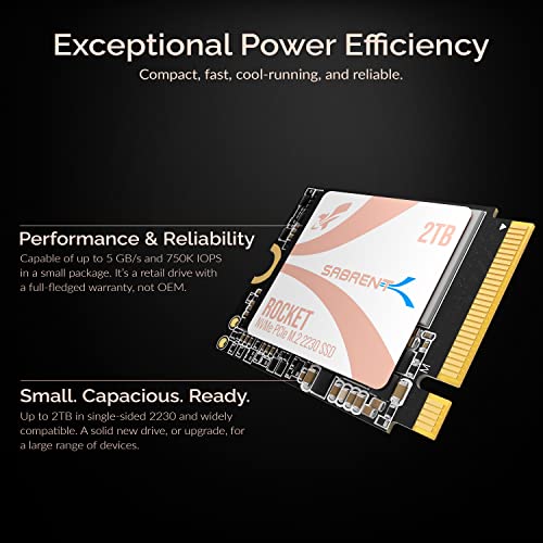 1TB NVMe PCIe Gen4 M.2 2230 Internal SSD E842