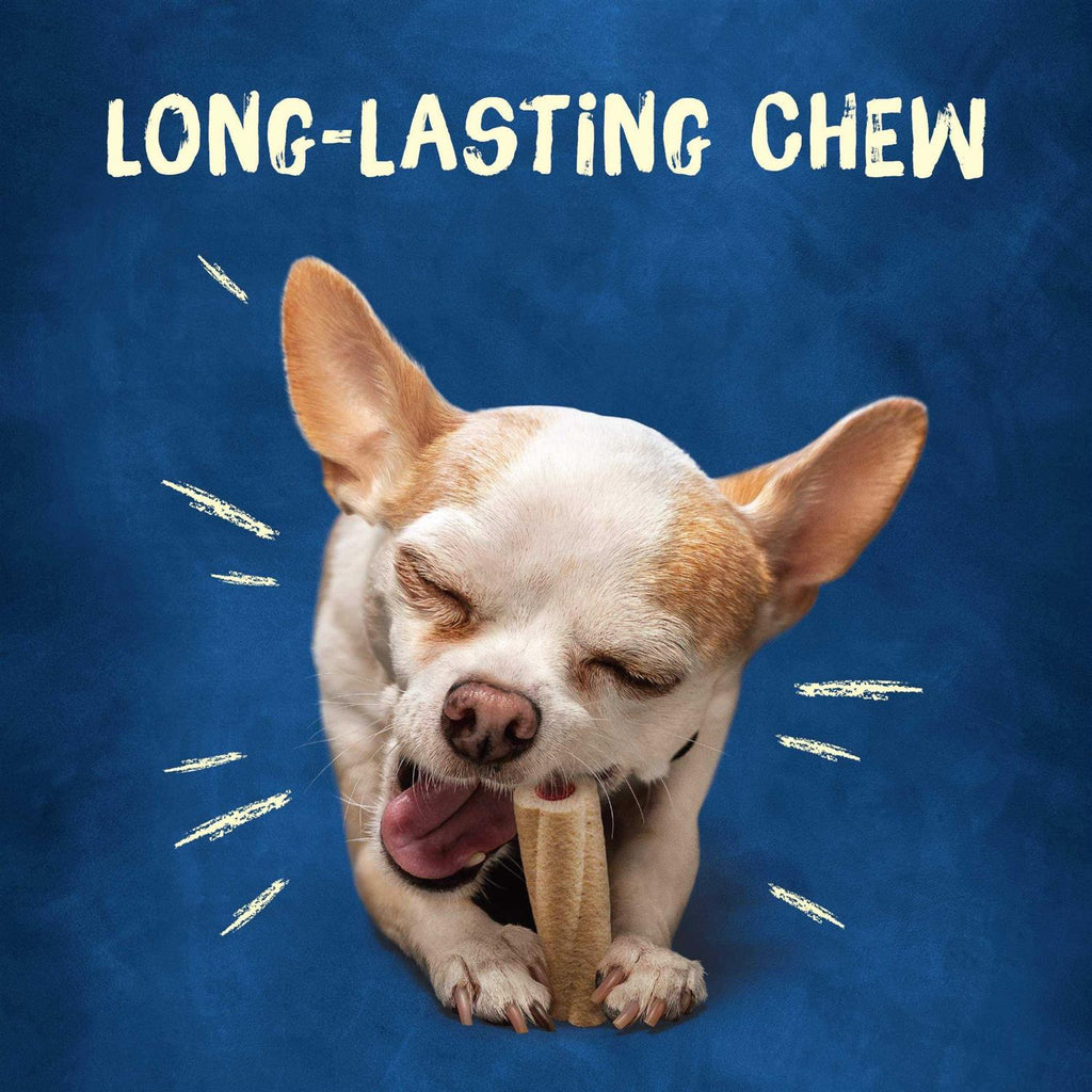 Tiny Dog Treats Q9823