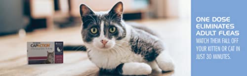 Oral Flea Treatment Tablets for Cats, 6 Doses B904