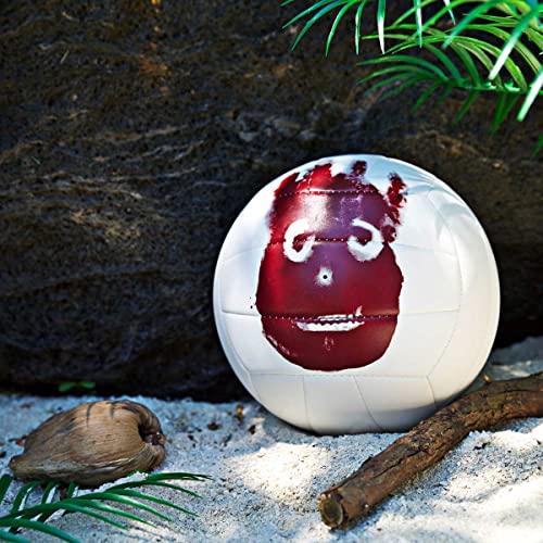 Mini and Official Size Volleyballs N6651