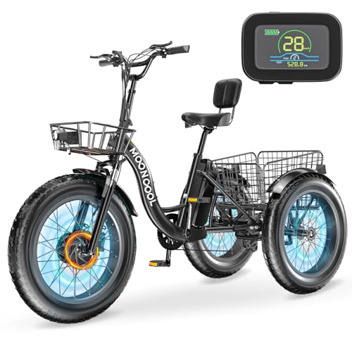 Electric Tricycle, 20" x 4" Fat Tire, 48V 500W, 7 Speed, Aluminum Frame W16241