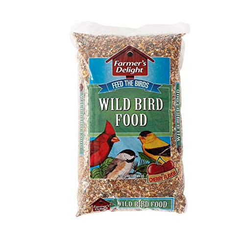 5 Pound Safflower Seed Wild Bird Food H299