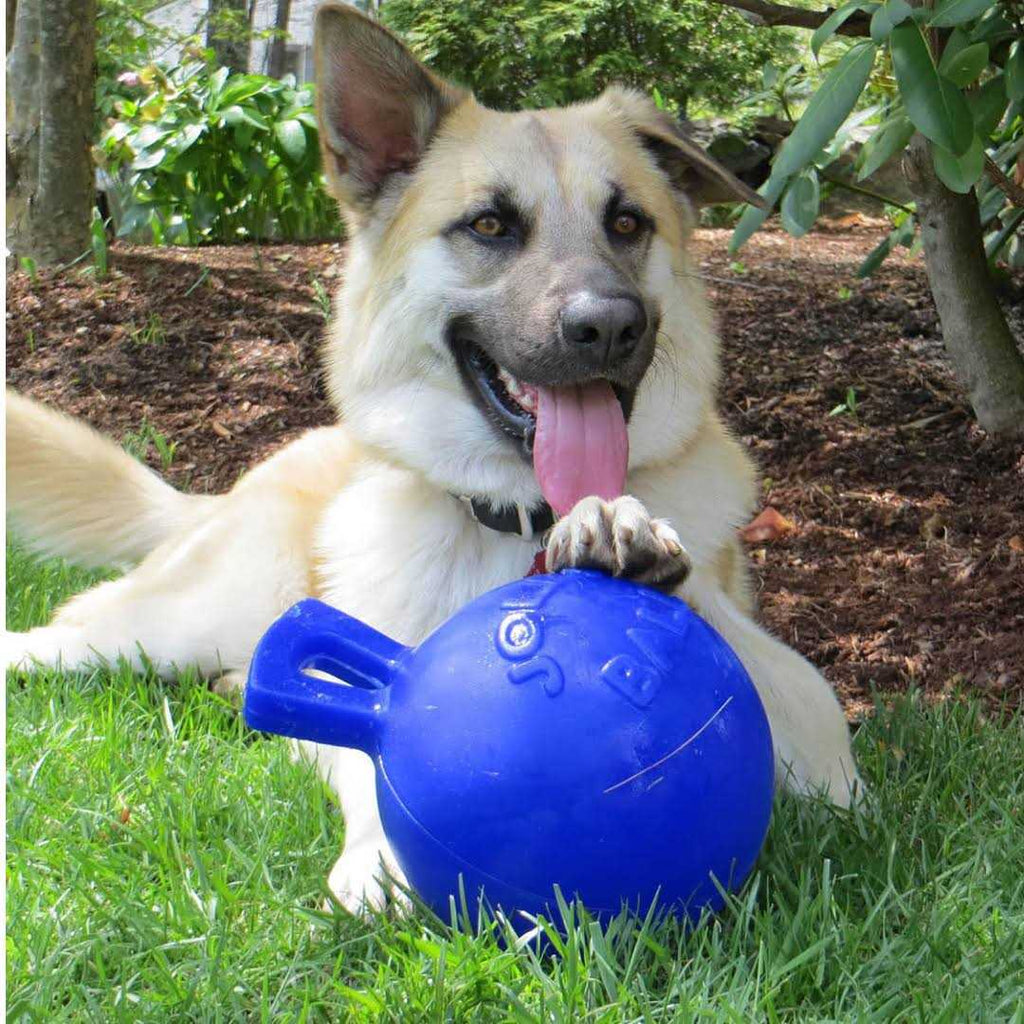 Tug N Toss Ball B55895