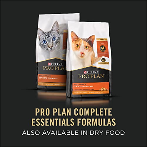 24 Pack 3 oz Wet Cat Food Salmon and Rice Entree in Sauce R6341