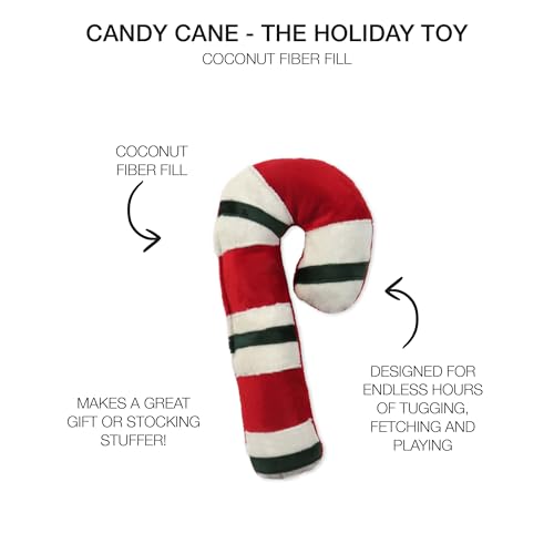 Durable Cotton Canvas Stuffed Dog Toys with Coconut Fill M307