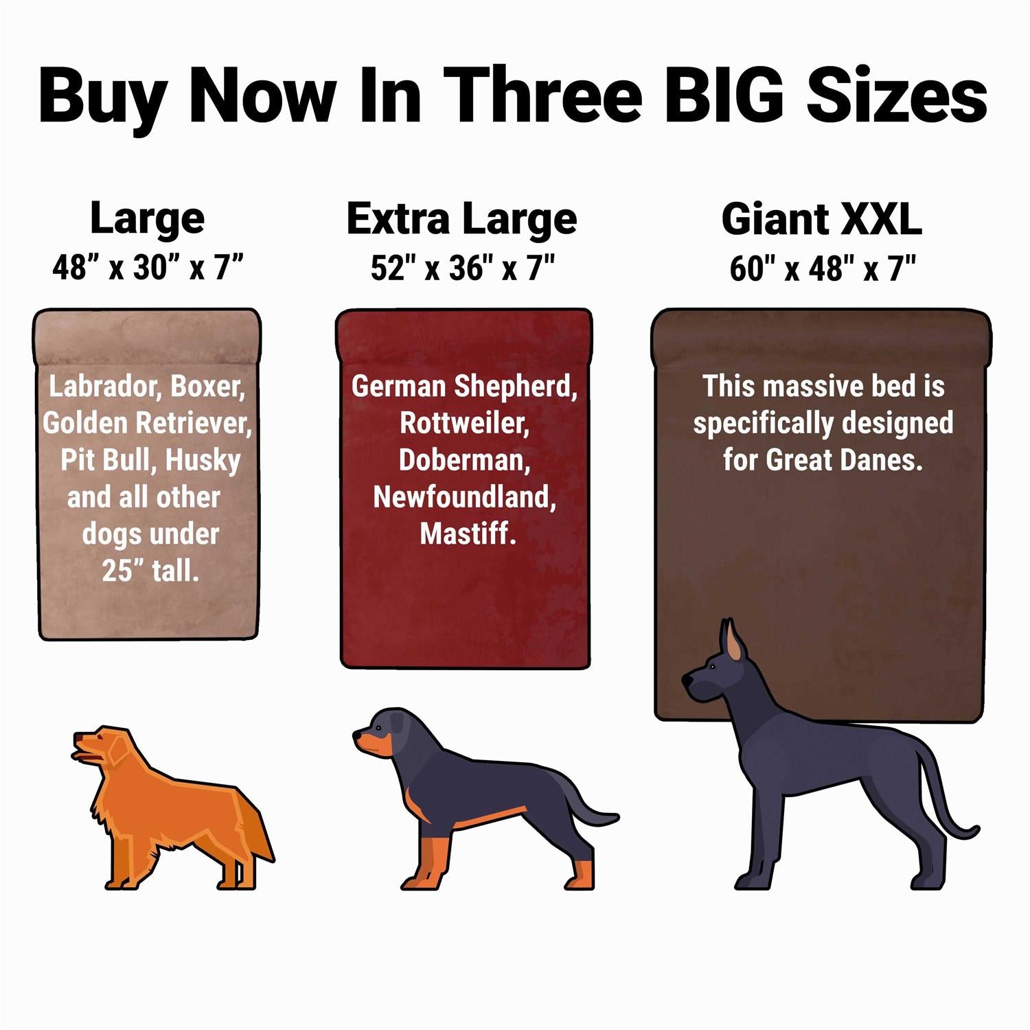 Orthopedic Dog Bed R54929