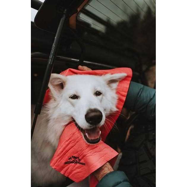 Dog Towel U5388