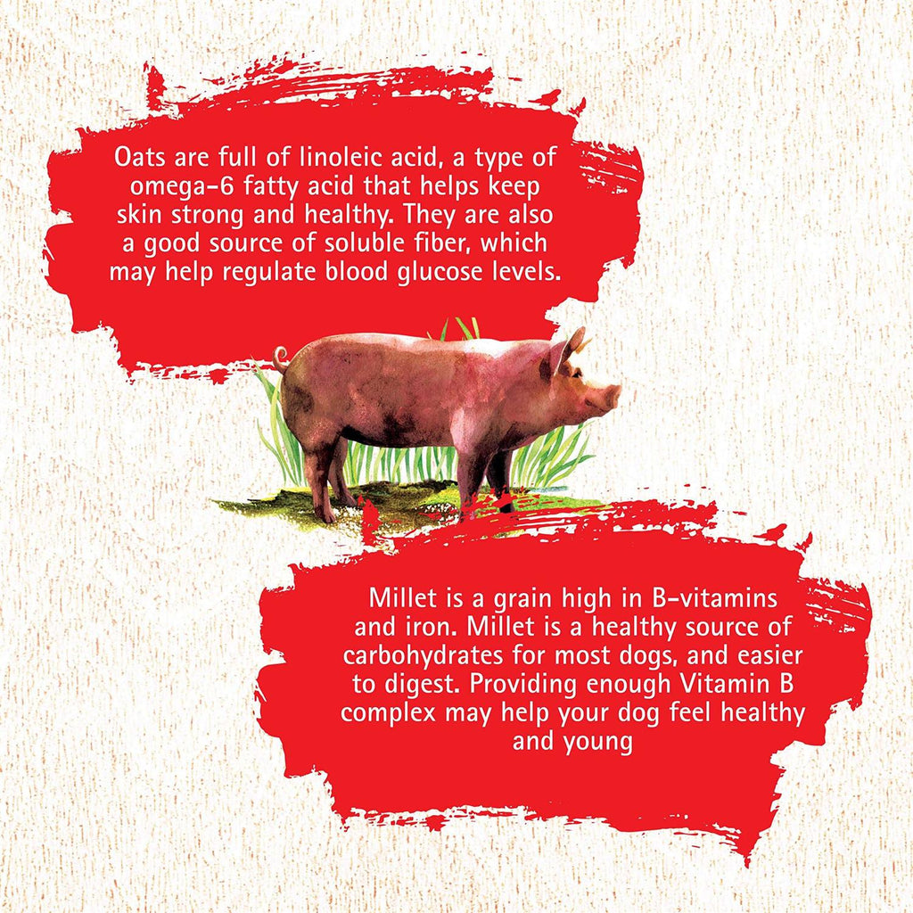 Pork Recipe Dog Food Q131785