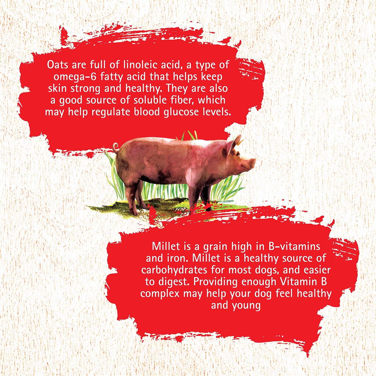 Pork Recipe Dog Food Q131785