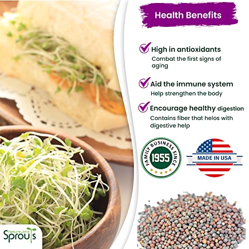 Certified Organic Broccoli Sprouting Seeds - 8oz N4969