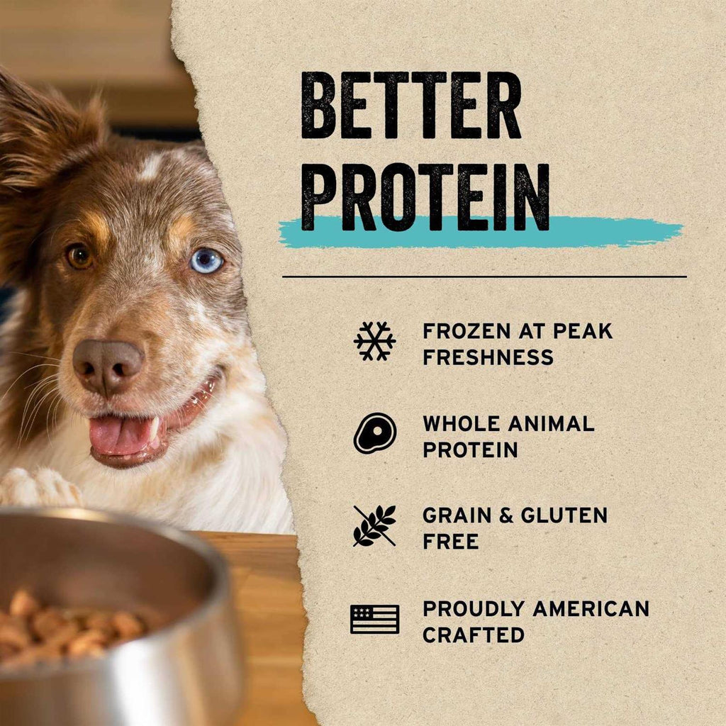 Freeze Dried Beef Tripe Bites Dog Treats J32354