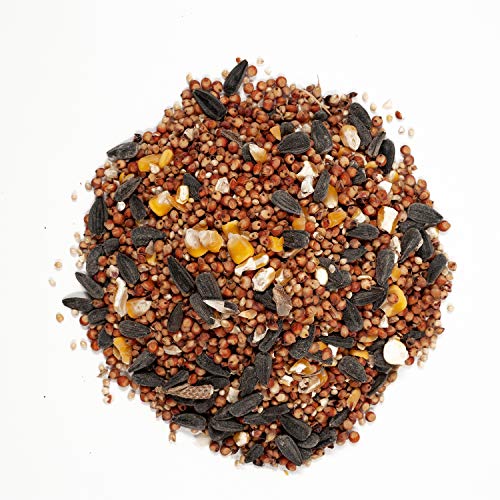 5 Pound Safflower Seed Wild Bird Food H299