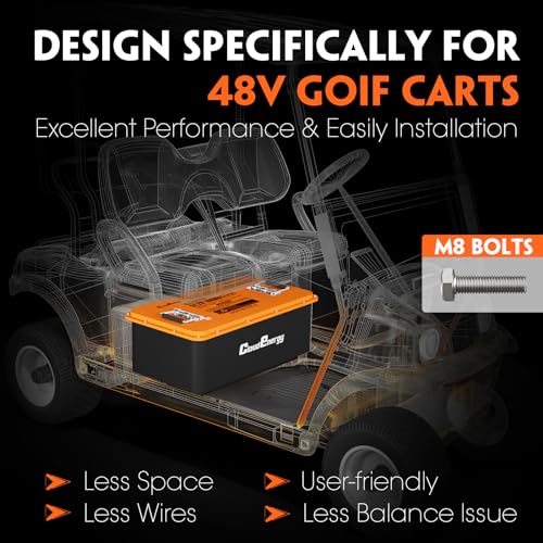 LiFePO4 Lithium Golf Cart Battery 48V 60AH 200A BMS P6193