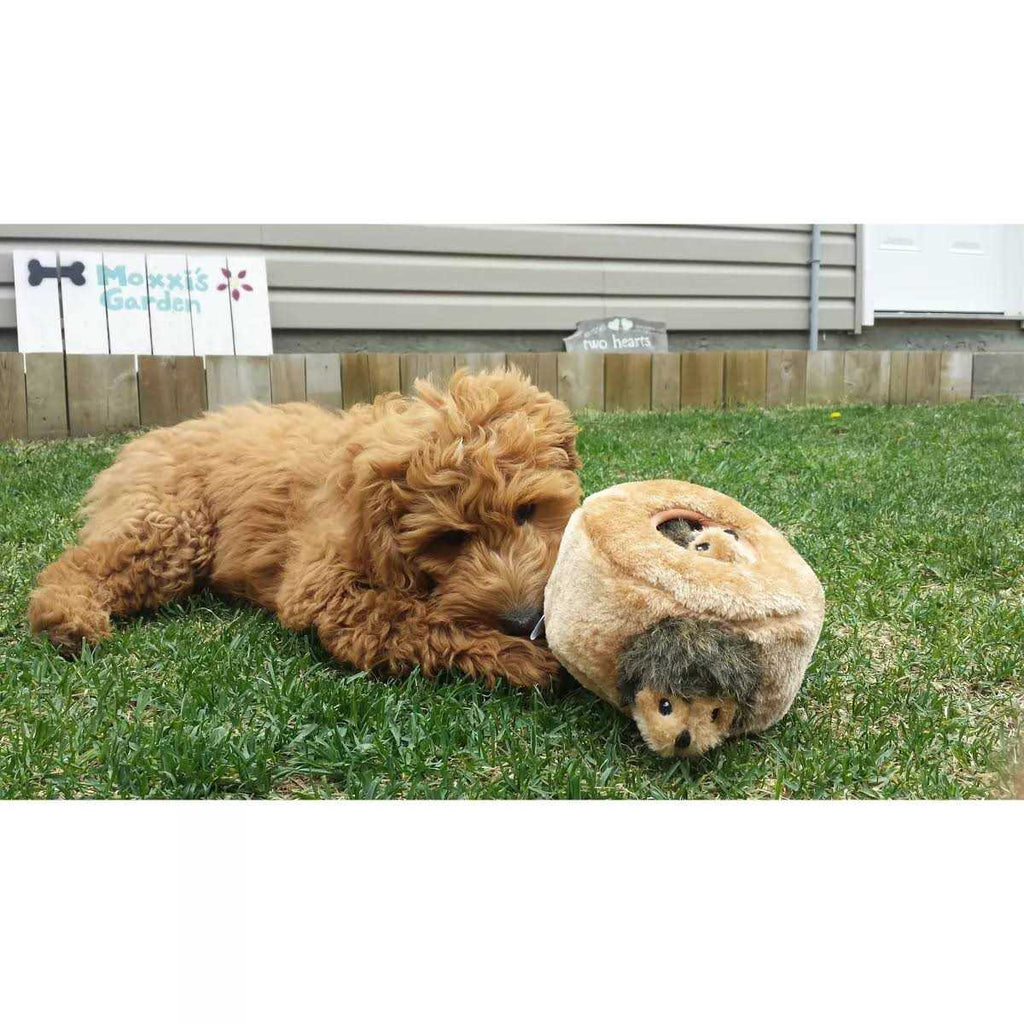 Hedgehog Dog Toy O5803