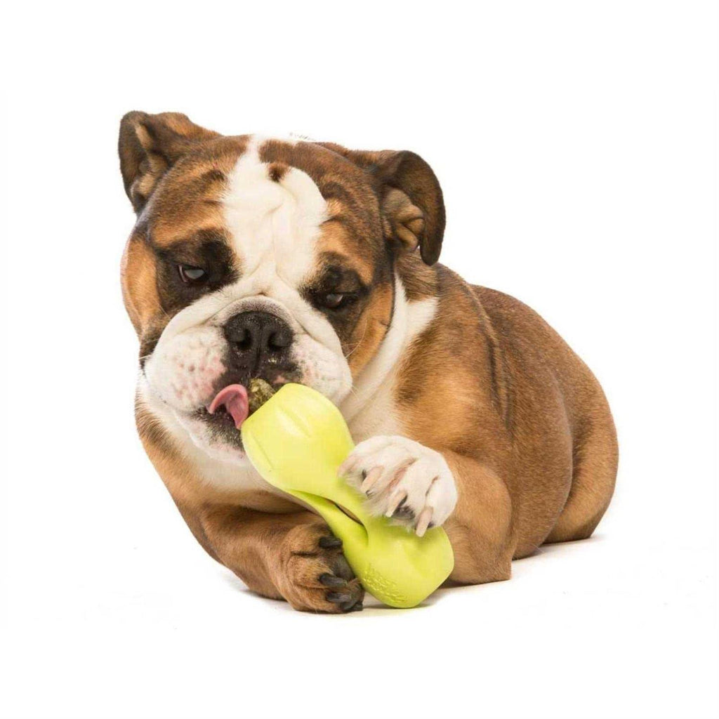 Dog Toy C82593