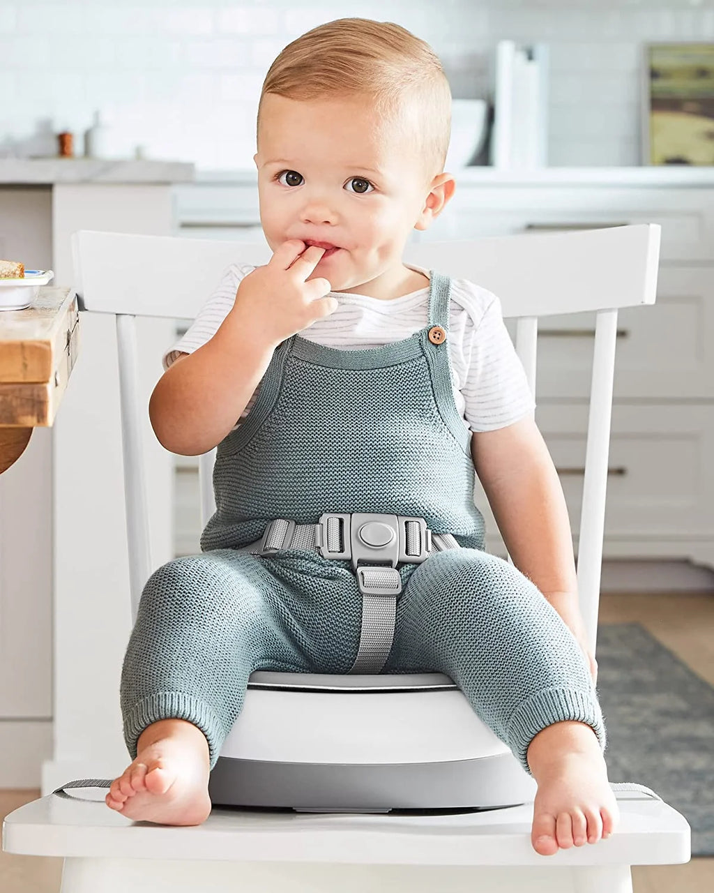 Grey White Booster Seat N27926