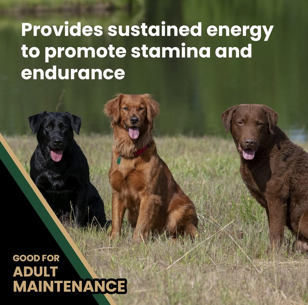 Performance Dry Dog Food, 26% Protein, 5lbs I481743