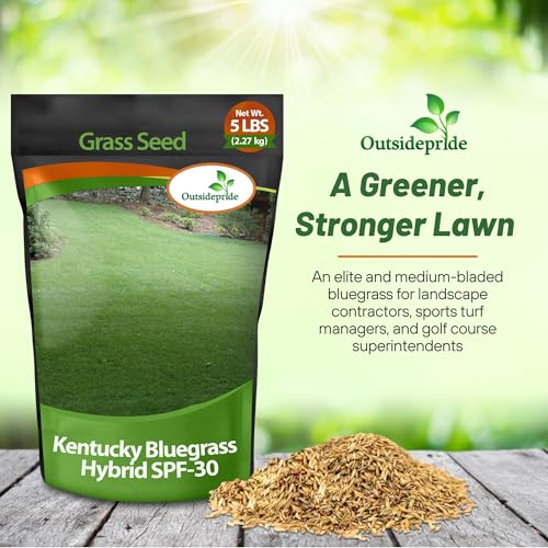 5 lb. Hybrid Bluegrass Lawn Grass Seed X25367
