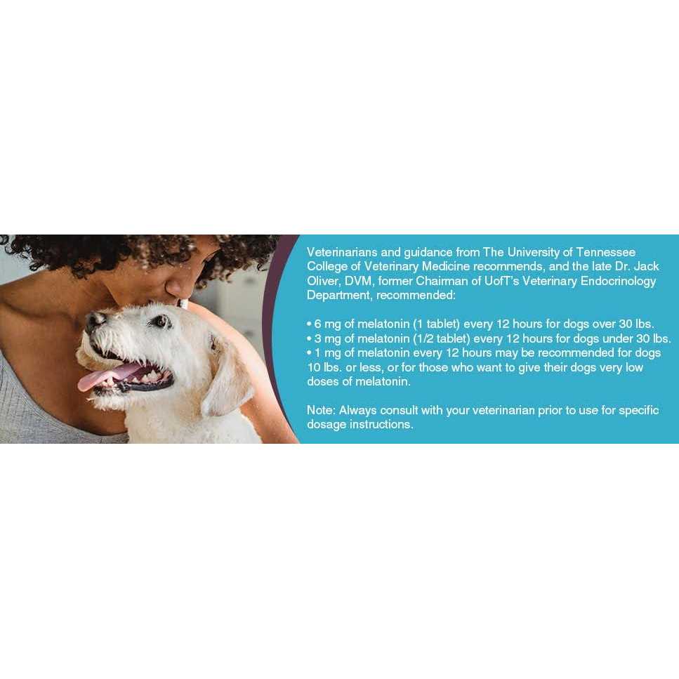 1mg Melatonin for Small Dogs Y77057