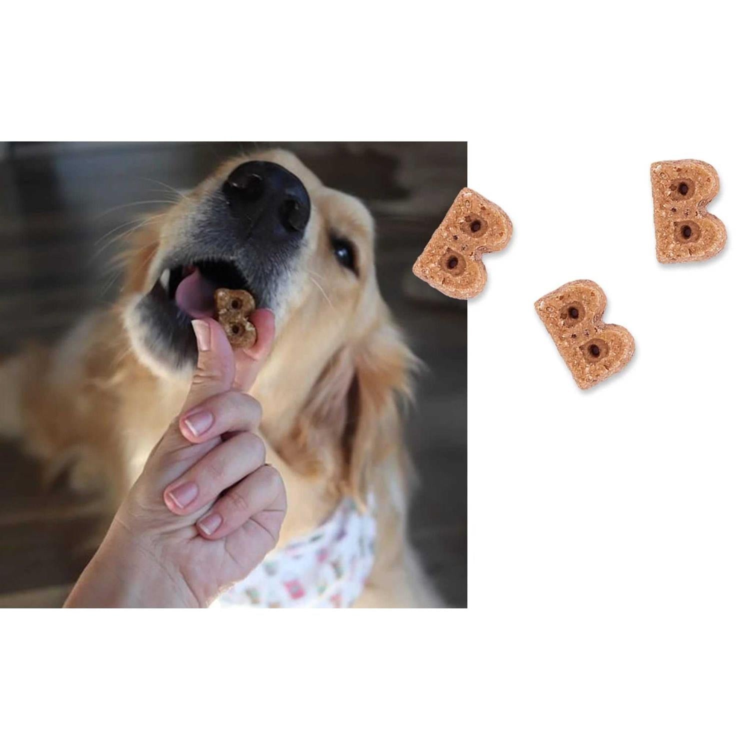 Berry Sorbet Soft & Chewy Dog Treats M52847