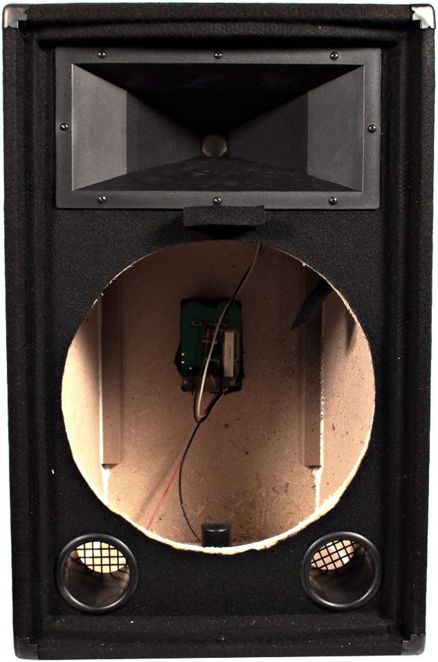 Empty 15-Inch PA DJ Speaker Cabinet M459032