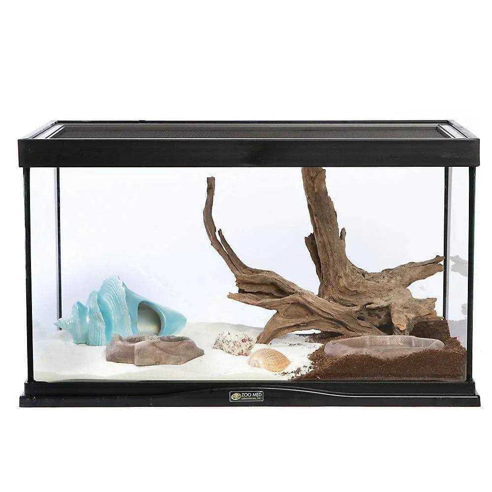Hermit Crab Kit C3818