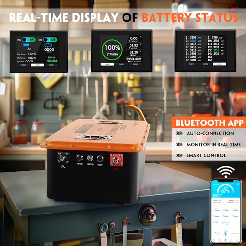 LiFePO4 Lithium Golf Cart Battery 48V 60AH 200A BMS P6193