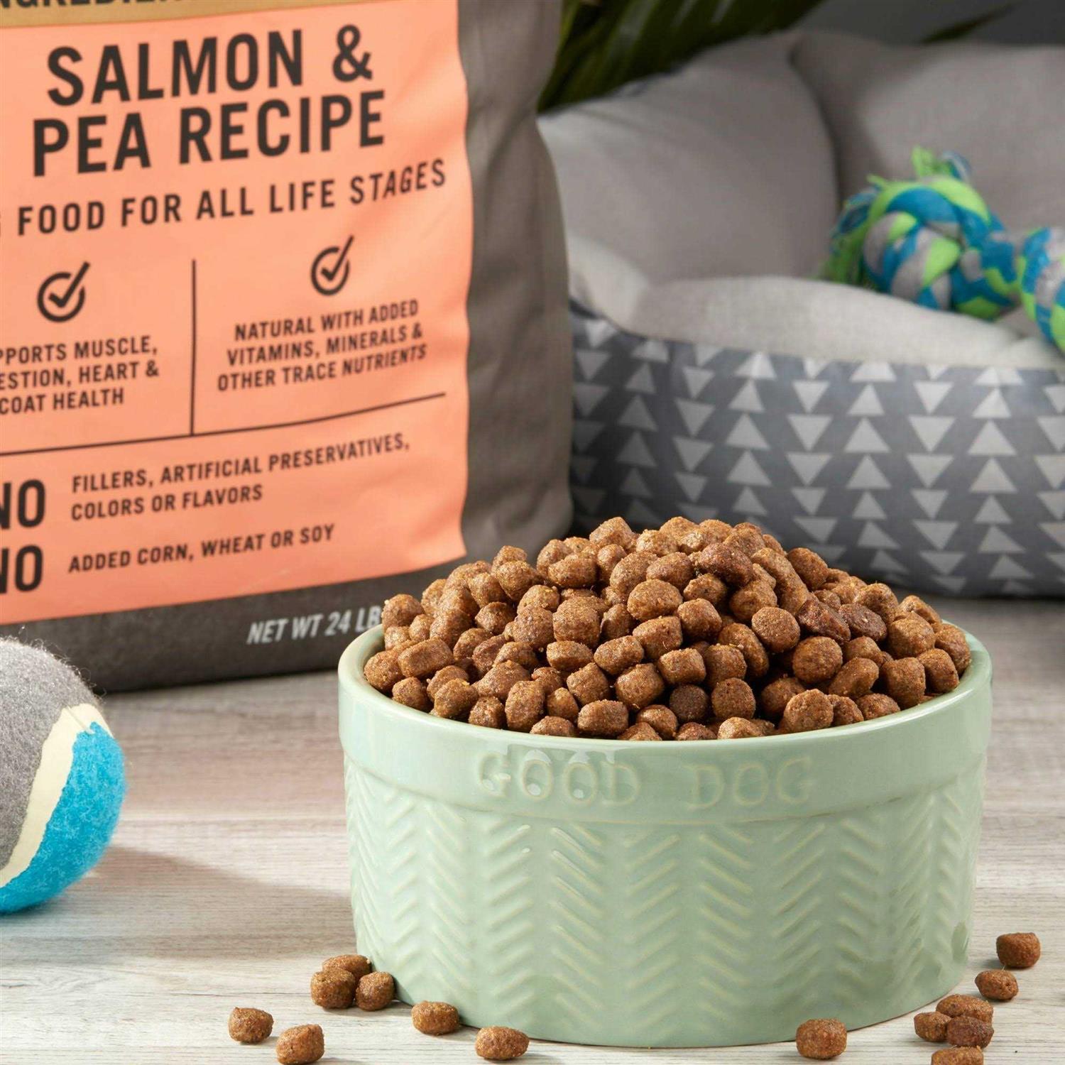 Salmon & Pea Recipe Dry Dog Food E934