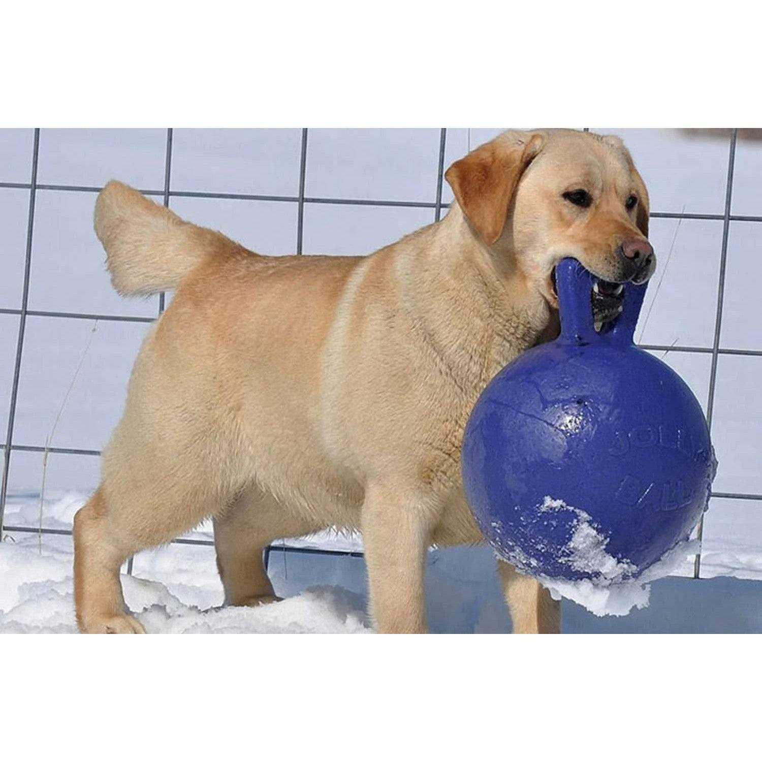 Tug N Toss Ball B55895