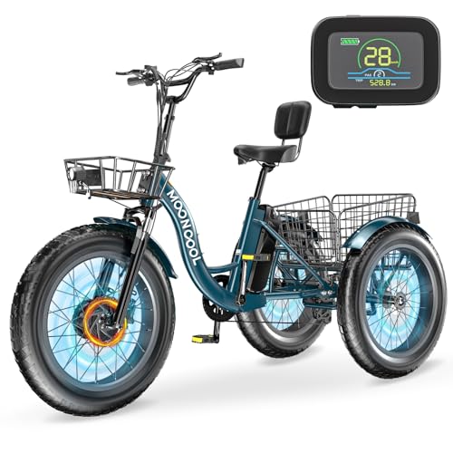 Electric Tricycle, 20" x 4" Fat Tire, 48V 500W, 7 Speed, Aluminum Frame W16241