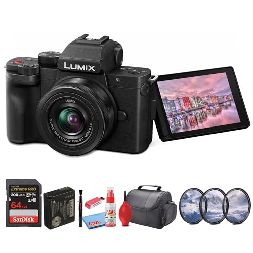 Panasonic Lumix G100 4K Mirrorless Camera with 12-32mm Lens I816