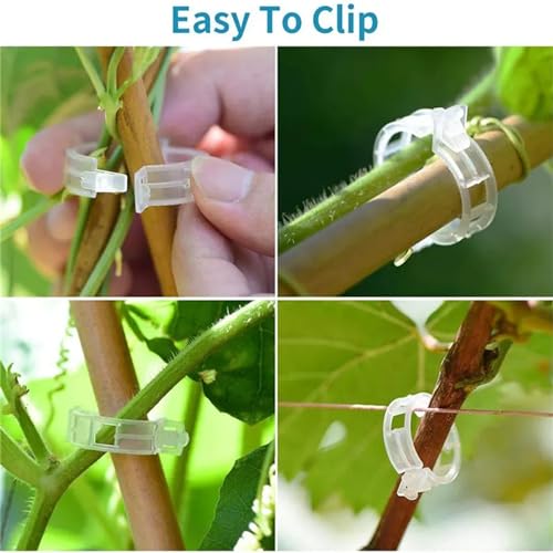 100Pcs Plant Support Clips J690230