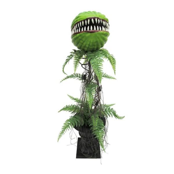Each Venus Flytrap R501