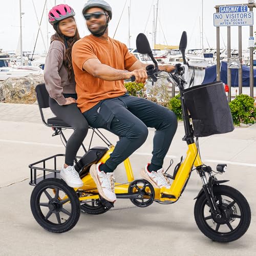 350W Folding Electric Tricycle with 480Wh Removable Battery and 2 Seats E86082