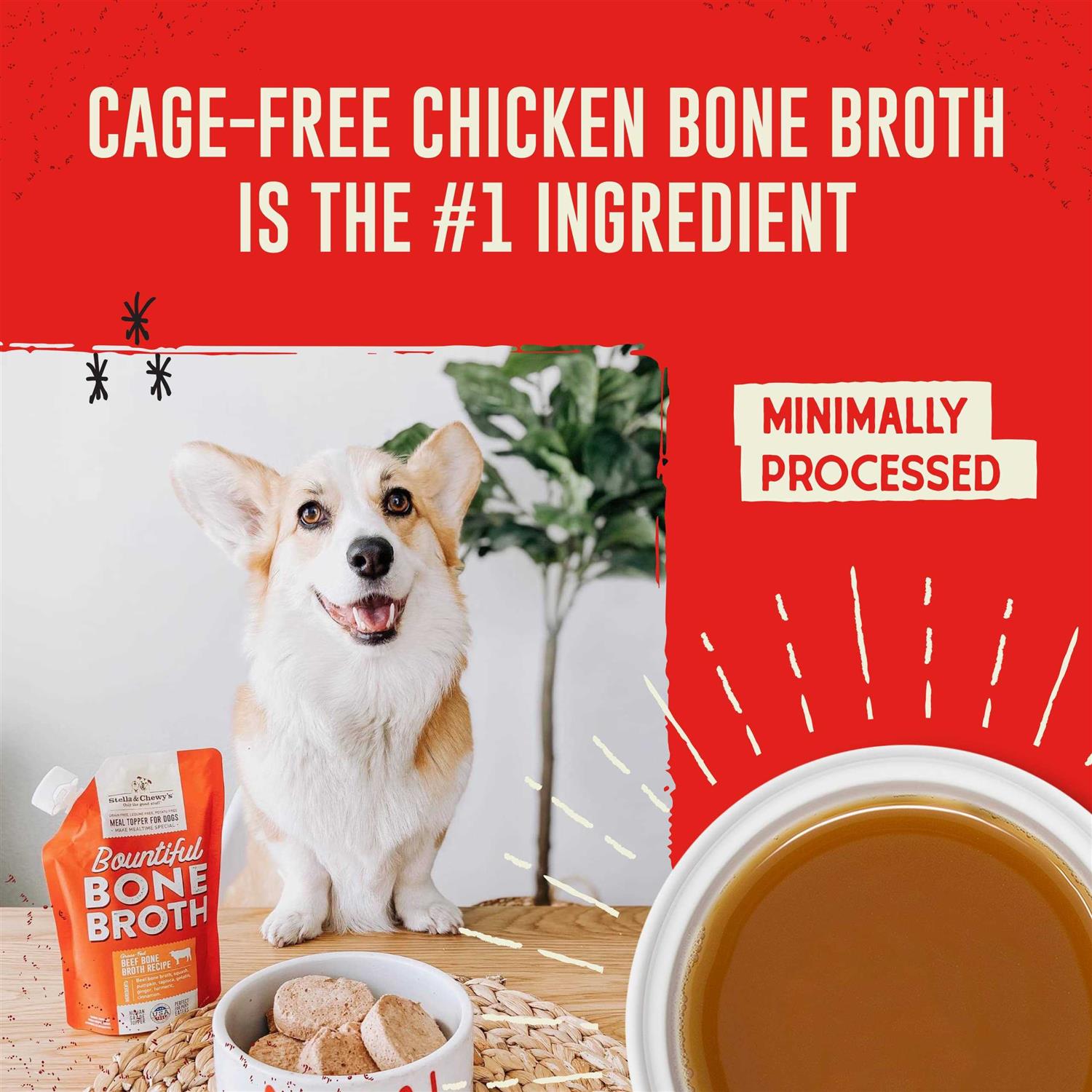 Bountiful Bone Broth Beef T373