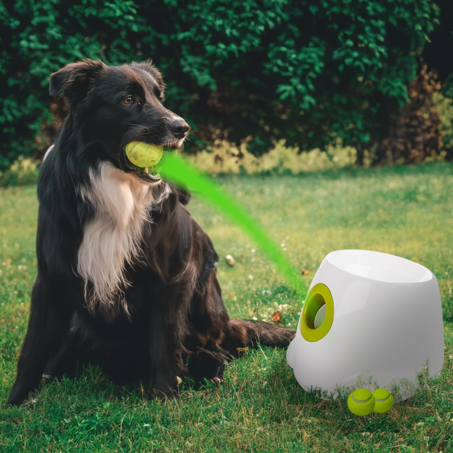 Automatic Ball Thrower for Dogs with 3 Tennis Balls P7508